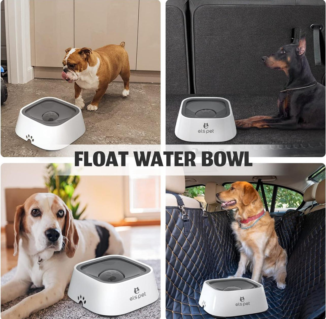 Pet Water Bowl No Spill