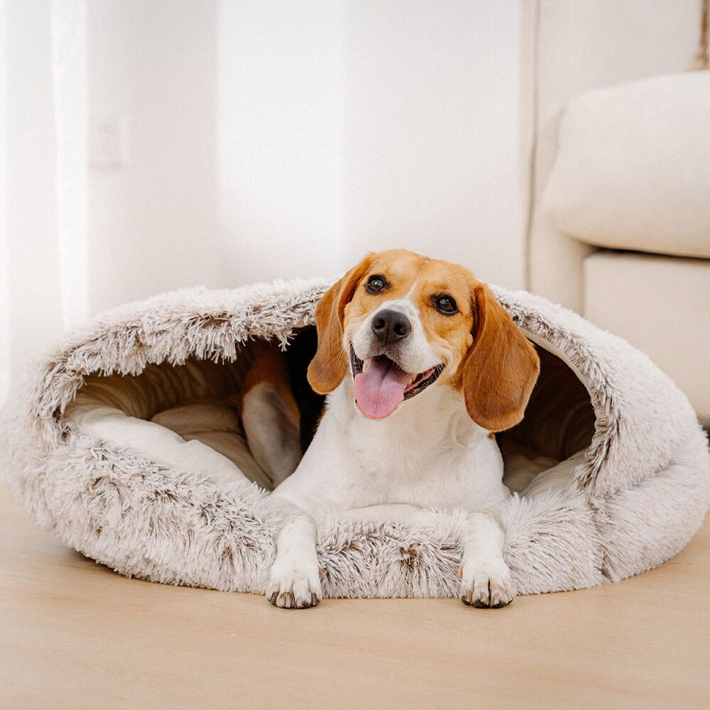 Cozy Pet Bed