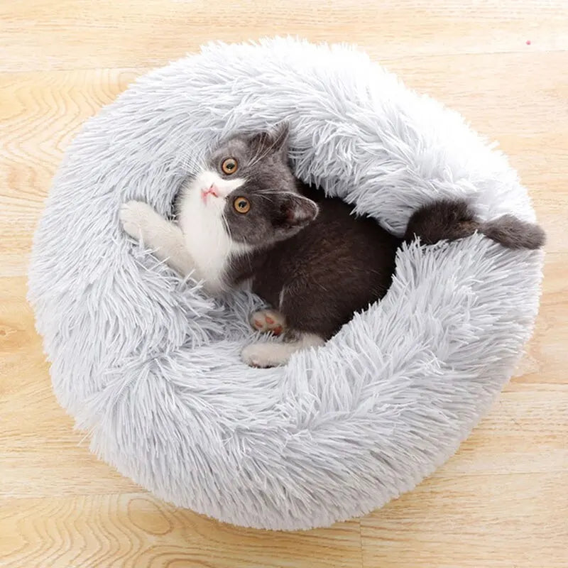 Cozy Cat Bed