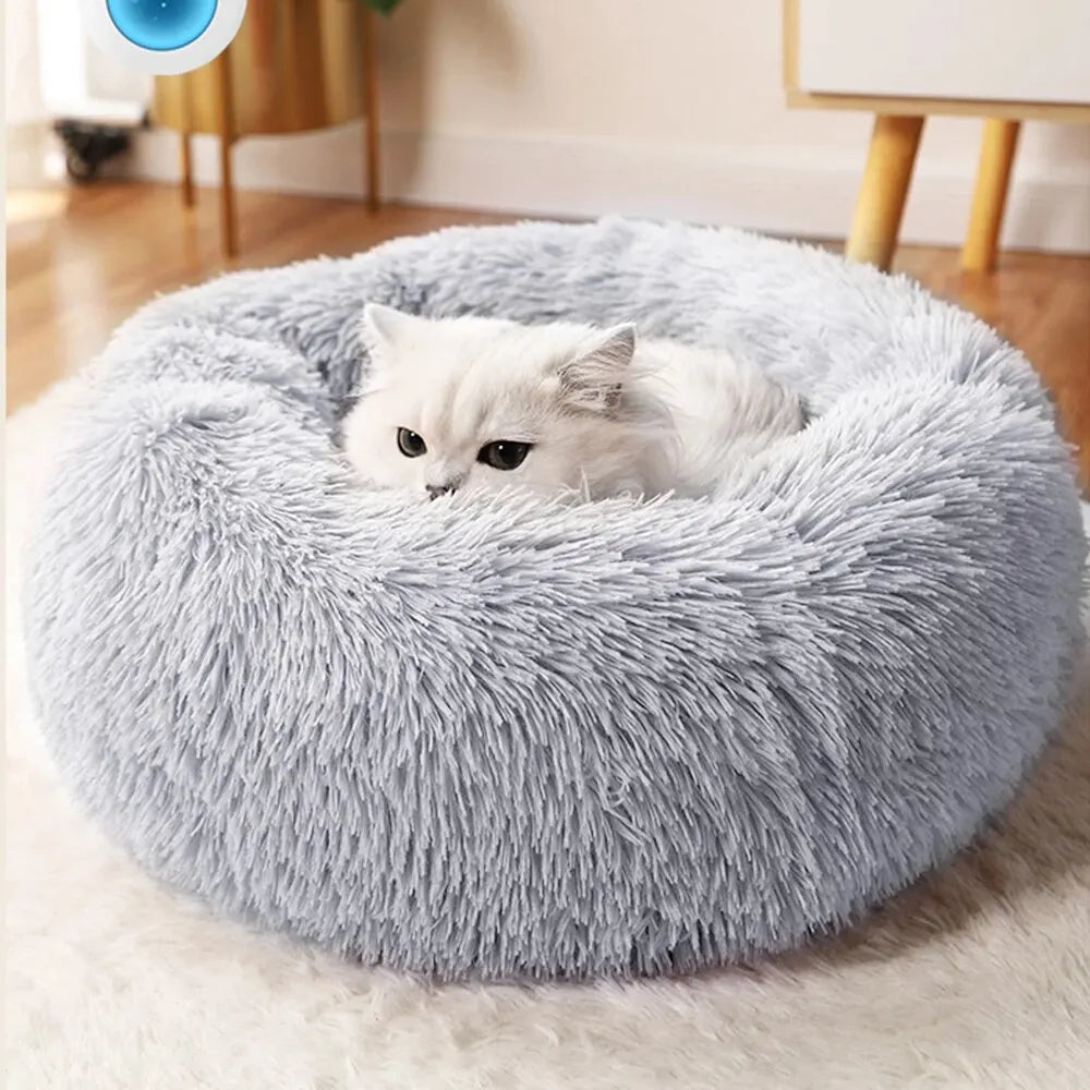 Cozy Cat Bed