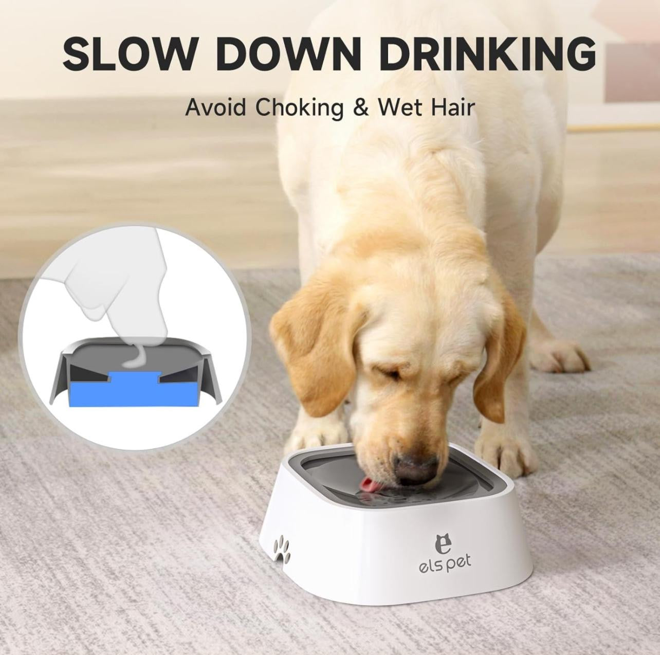 Pet Water Bowl No Spill